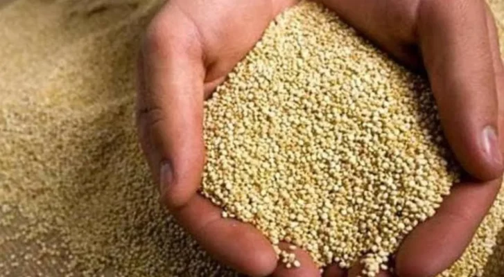 Quinua 500gr